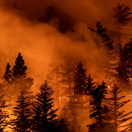 Drought, plague, fire: the apocalypse feels nigh. Yet we have tools to stop it | Art Cullen