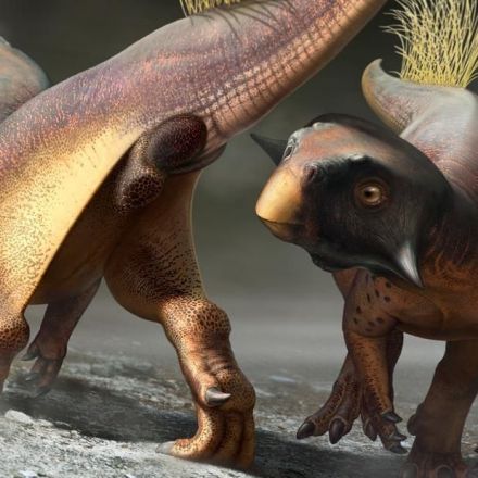 This fossil reveals how dinosaurs peed, pooped and had sex