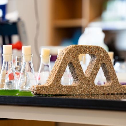 Self-growing bricks, self-healing building materials from bacteria may be the future of construction industry
