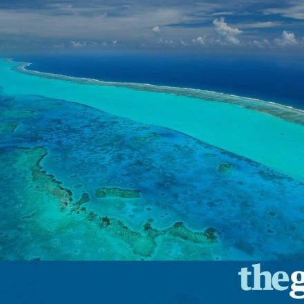 'Coral bleaching is getting worse ... but the biggest problem is pollution'