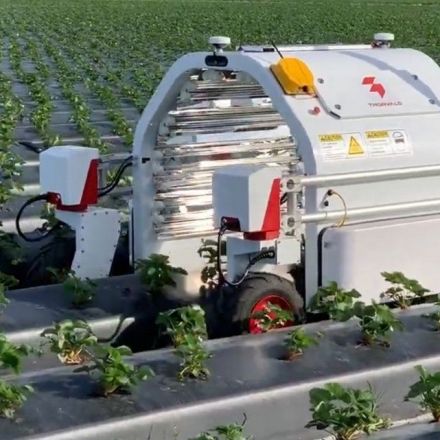 This robot could make pesticides obsolete