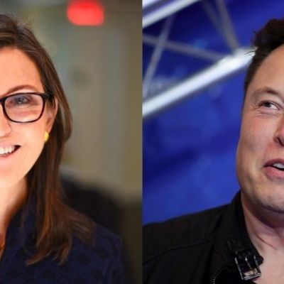 Cathie Wood says Elon Musk will eventually prove positive for bitcoin - and predicts central banks will begin adding crypto to their balance sheets