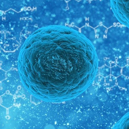 CRISPR gene editing makes stem cells 'invisible' to immune system