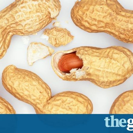 Peanut allergy cured in majority of children in immunotherapy trial