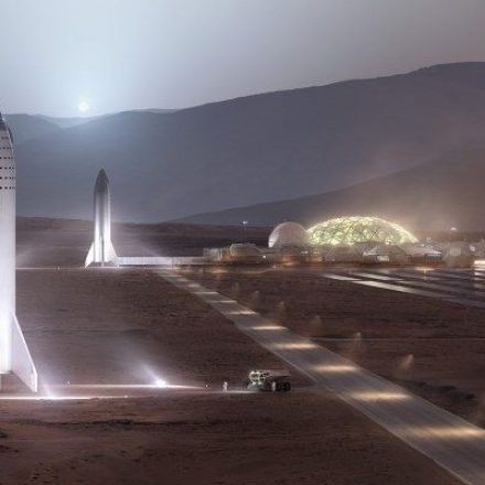Elon Musk says building the first sustainable city on Mars will take 1,000 Starships and 20 years