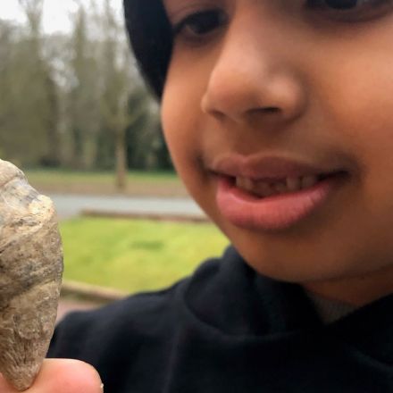 Boy finds 480 million-year-old fossil in garden using set he got for Christmas