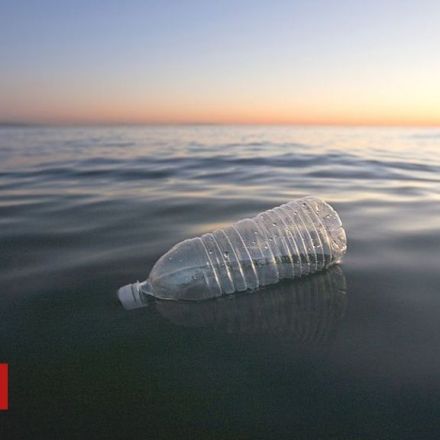 Where plastic outnumbers fish by seven to one