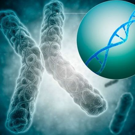A deeper understanding of chromosome capping could improve therapies for both cancer and aging