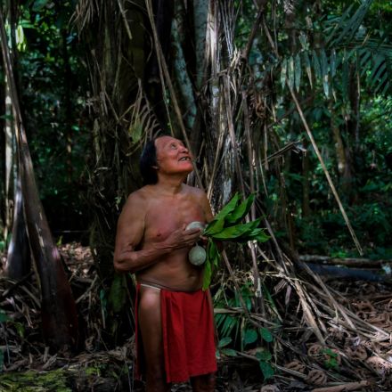 Indigenous lands have highest biodiversity: "We must manage a larger fraction of world's area in ways that protect species"