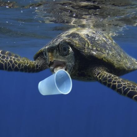 EU Commission plans ban on plastic waste