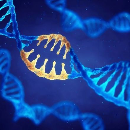 CRISPR stops coronavirus replication in human cells