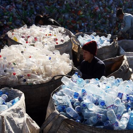 Plastic-eating bacteria discovered by student could help solve global pollution crisis
