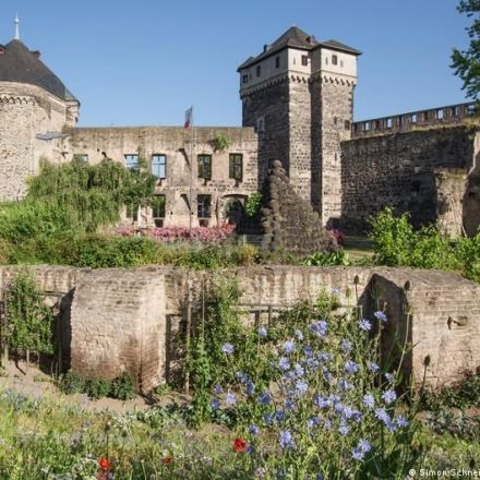 Germany's pioneer 'edible city' on the Rhine