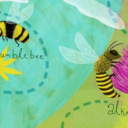 Plan Bee: The Rise of Alternative Pollinators