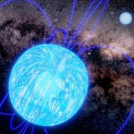 A Wolf-Rayet star will likely morph into a magnetic monster