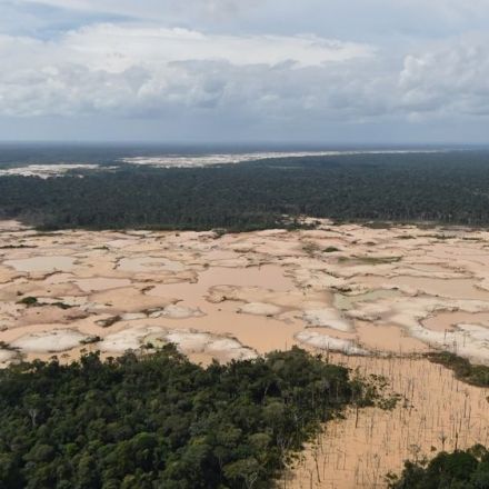 Brazil scientist 'sacked' after deforestation row with president