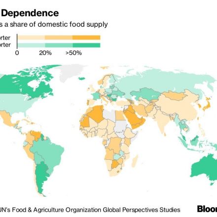 Countries Starting to Hoard Food, Threatening Global Trade