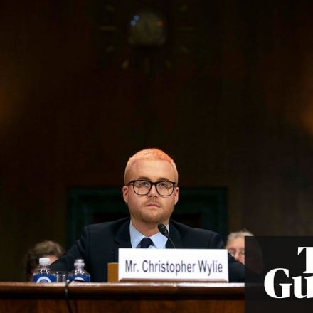 Cambridge Analytica whistleblower says Bannon wanted to suppress voters
