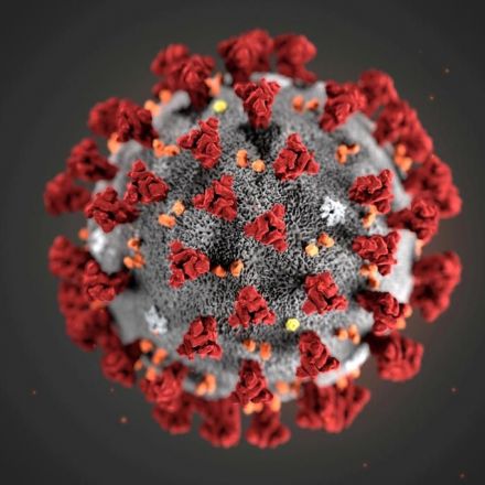 Coronavirus could attack immune system like HIV by targeting protective cells, warn scientists