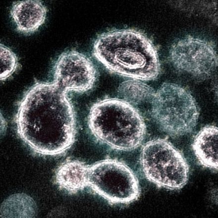 Scientists Are Cloning the Coronavirus Like Crazy. Here's Why—and the Risks