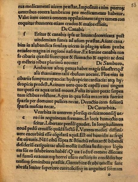 Bartolomeo Platina included a recipe for "a health drink of cannabis nectar" in the world's first printed cookbook, De Honesta Voluptate Et Valetudine ("On Honourable Pleasure and Health"), published in 1475.