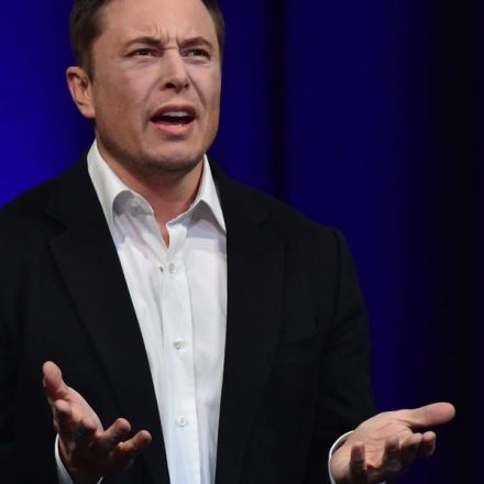 'Elon Musk Phd' is named as the director of a UK company called Elonspace Ltd on an official business register