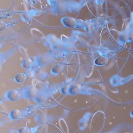 A new sperm discovery could help solve two huge male fertility issues