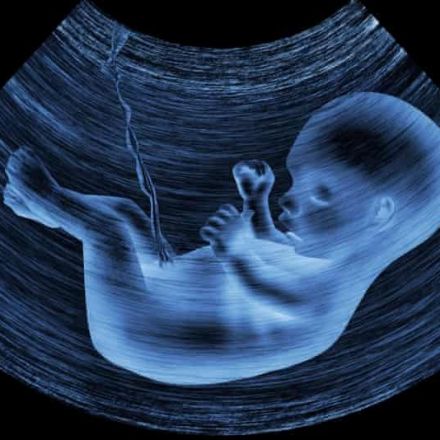 Microplastics revealed in the placentas of unborn babies