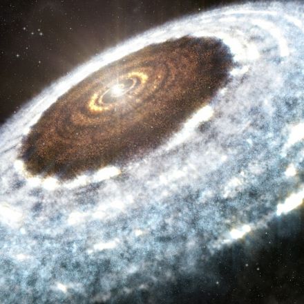 Astronomers Caught a Star Forming Just Like a Planet