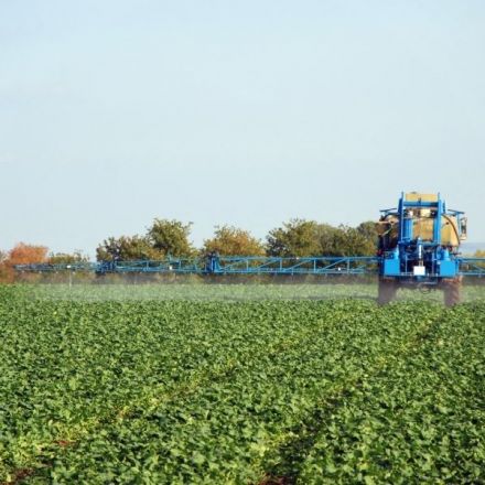 Pesticides could increase the spread of deadly infections, study finds