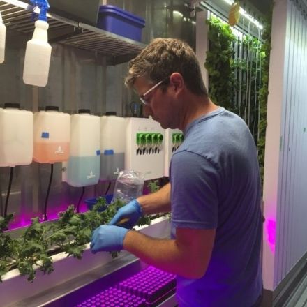 Is the future of farming inside this 40-foot shipping container?