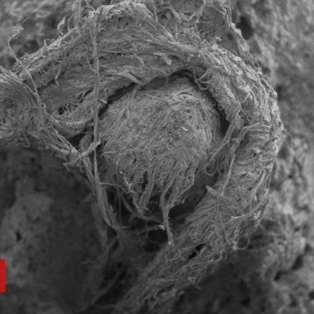 50,000-year-old string found at Neanderthal site