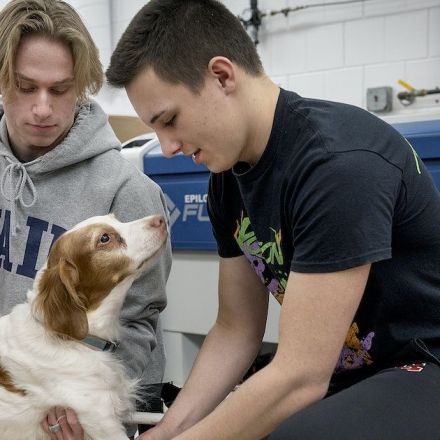 Stillwater High students get a lesson in engineering with an assist from a three-legged dog