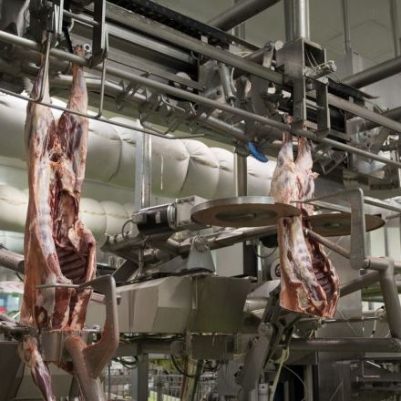 Tyson Turns to Robot Butchers, Spurred by Coronavirus Outbreaks