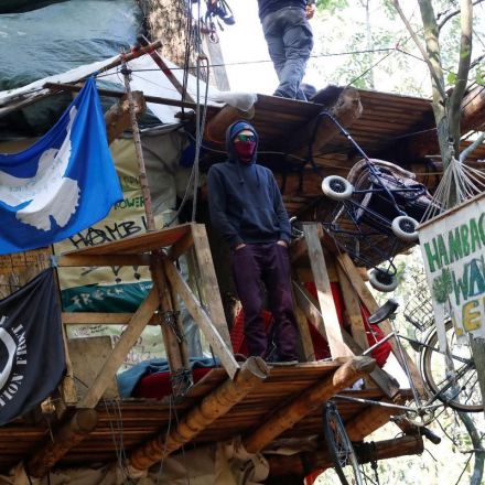 Protesters were removed from a 12,000-year-old forest where a coal mine will be built