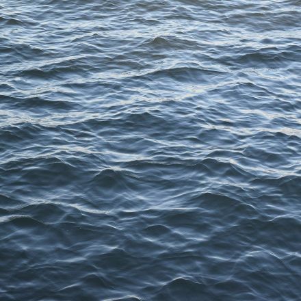 Virologists Identify More Than 5,000 New Viruses in the Ocean