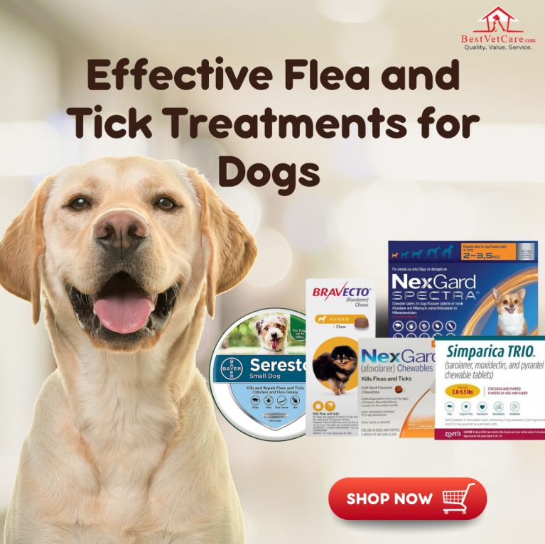 Flea and Tick Treatment For Dogs