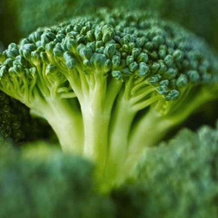 5 kilograms of broccoli in a pill slashes diabetics’ blood sugar