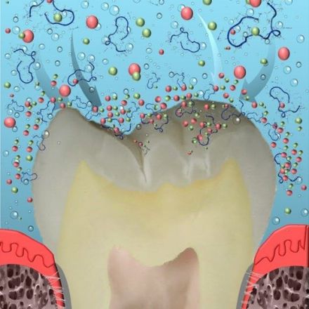 Peptide-based biogenic dental product may cure cavities