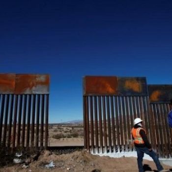 2,700 Scientists Warn US-Mexico Wall Endangers Wildlife