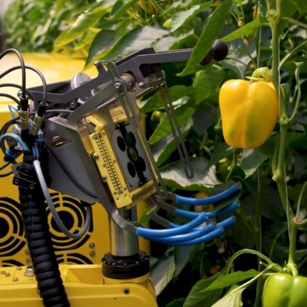 This robot picks a pepper in 24 seconds using a tiny saw, and could help combat farm labor shortage