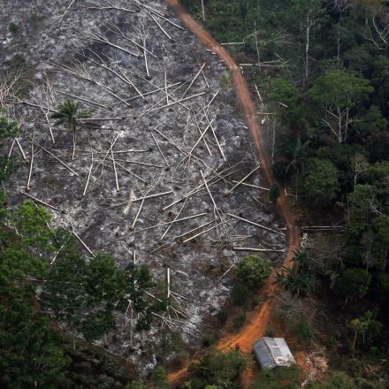 Satellites show Brazil’s deforestation has only gotten worse since Bolsonaro took office