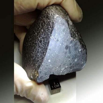 Meteor from Mars Shows Planetary Genesis, 4 Billion Years Ago