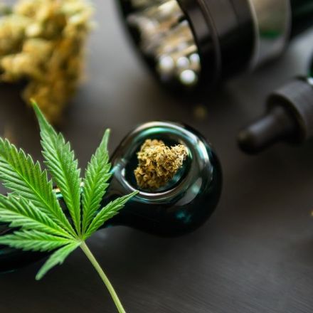Study: Cannabis Use "Does Not Have a Negative Impact on Public Health"