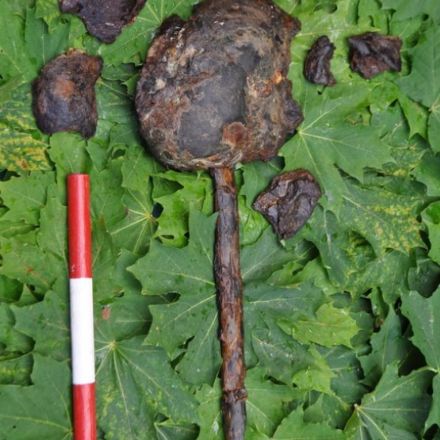Mystery of 8,000-Year-Old Impaled Human Heads Has Researchers Stumped