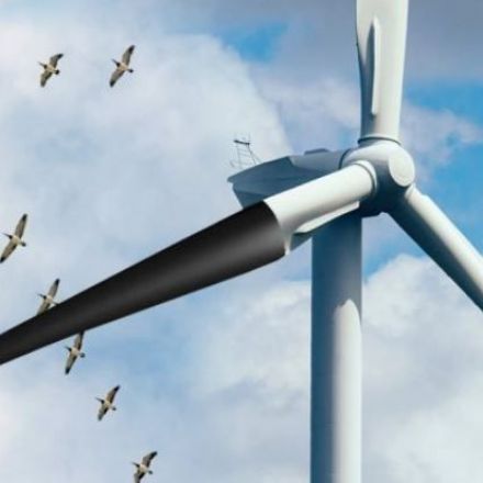 Black turbine blade can reduce bird deaths by 70%
