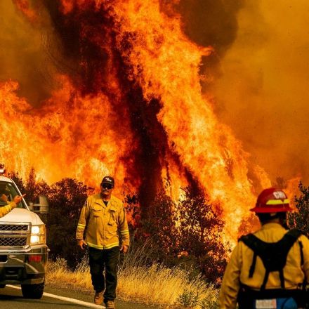 Self-powered wildfire detector could help prevent deadly blazes