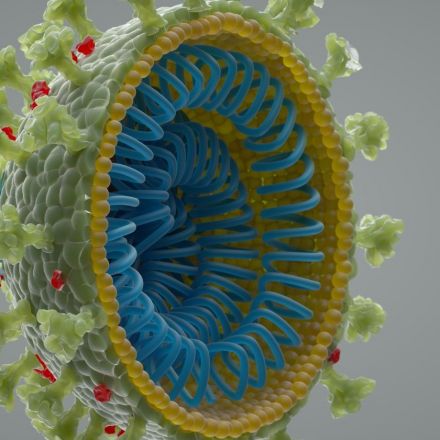 The coronavirus was not engineered in a lab. Here's how we know.
