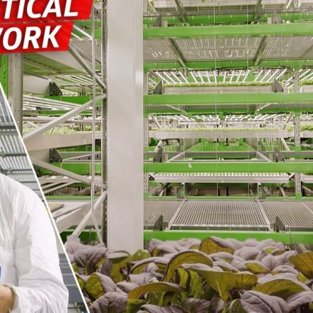 How This Vertical Farm Grows 80,000 Pounds of Produce per Week