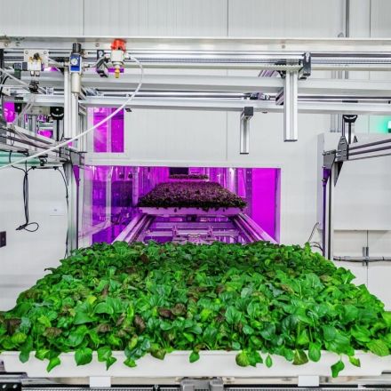 AI Is Learning To Understand How Vegetables Taste
